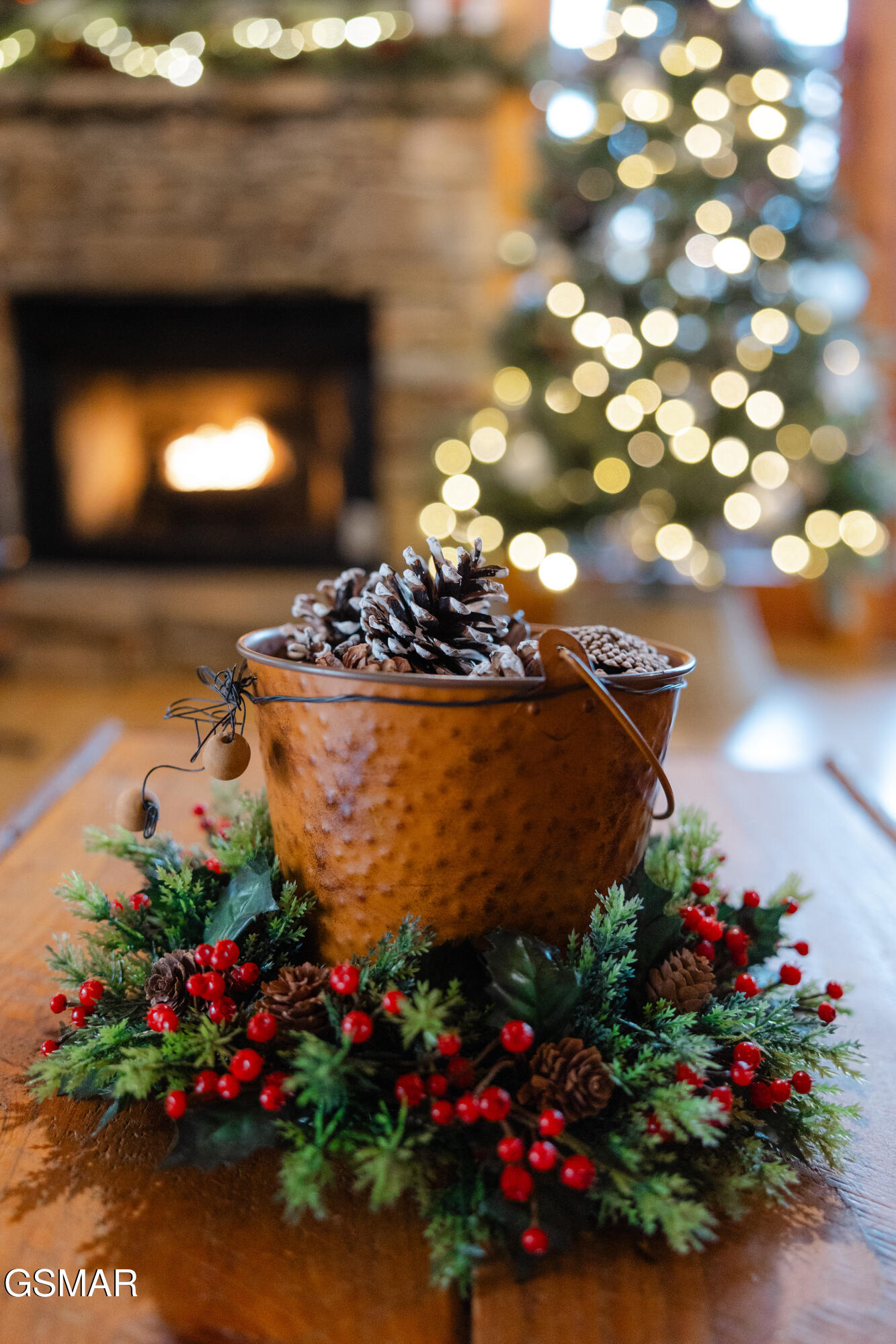 1655 S Mountain View Road Sevierville TN 37876