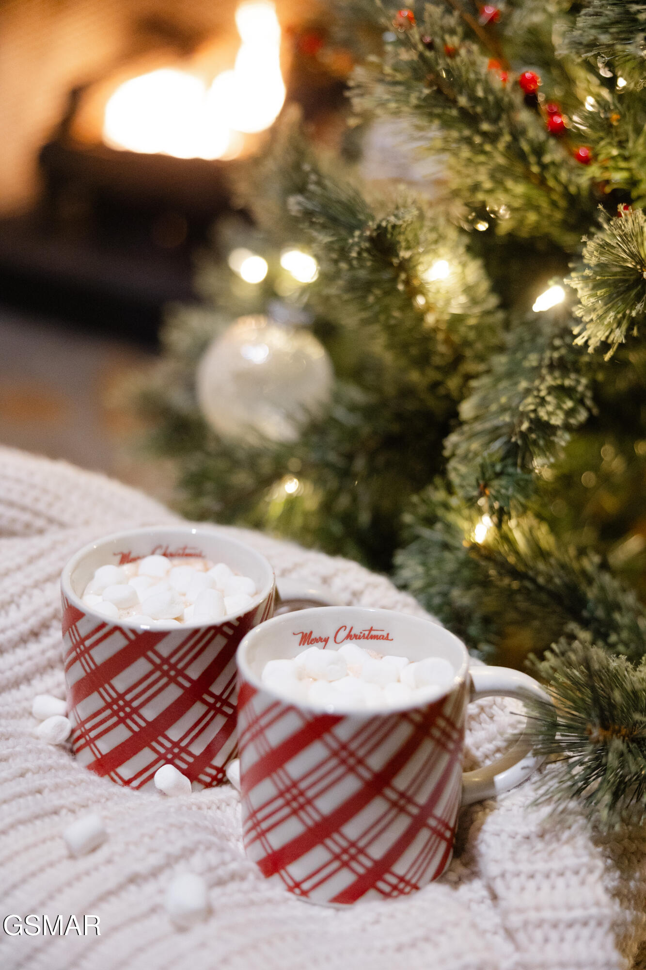 1655 S Mountain View Road Sevierville TN 37876