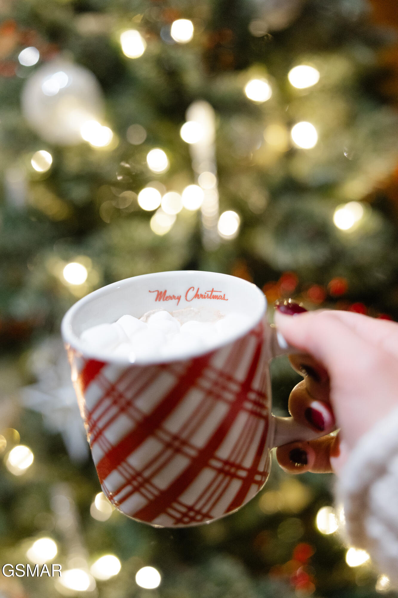 1655 S Mountain View Road Sevierville TN 37876