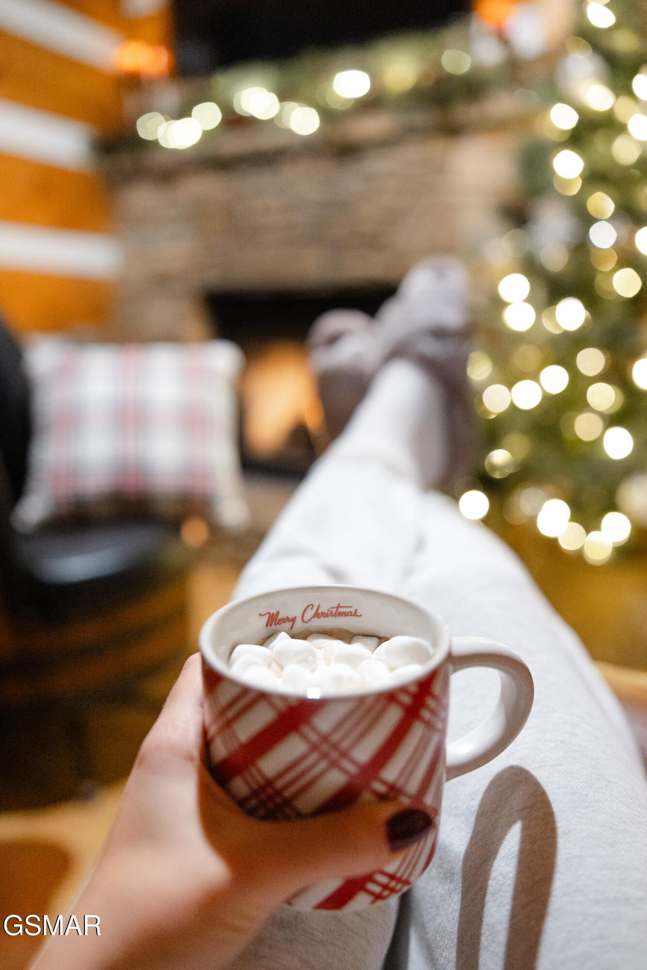 1655 S Mountain View Road Sevierville TN 37876