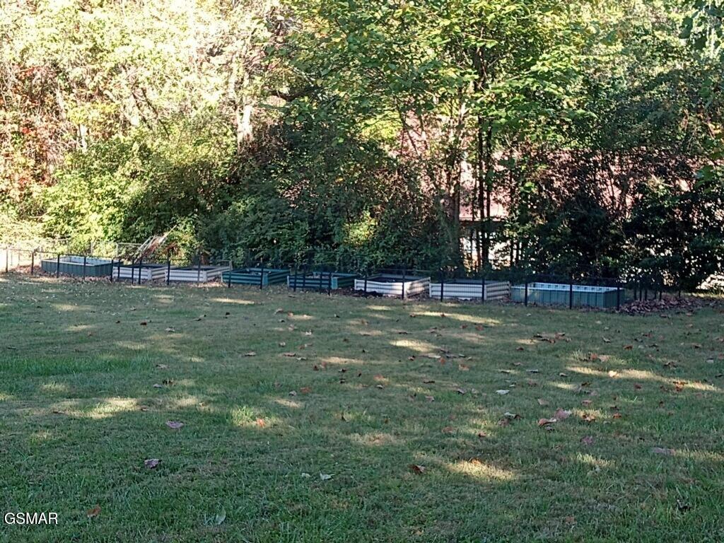 510 Gaye Drive Jefferson City TN 37760