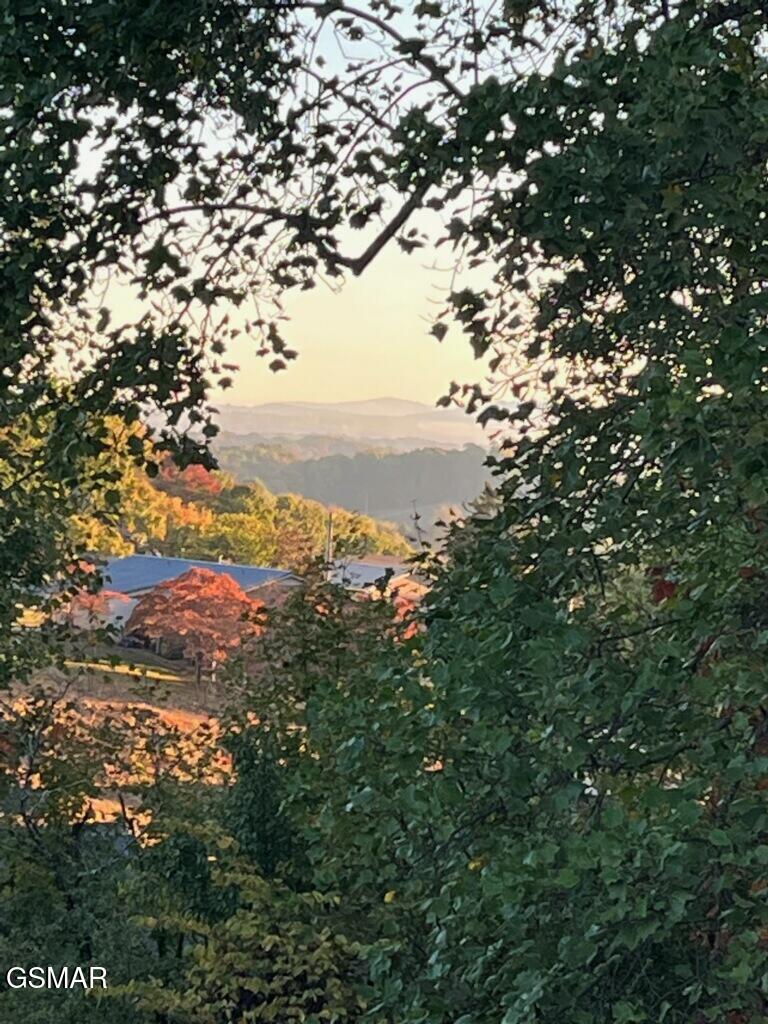 510 Gaye Drive Jefferson City TN 37760