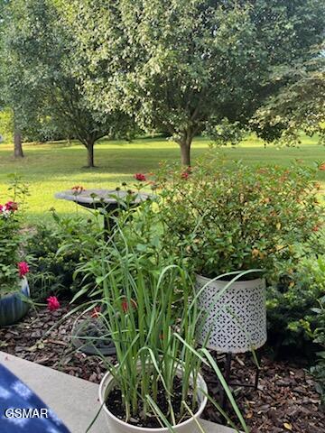 510 Gaye Drive Jefferson City TN 37760