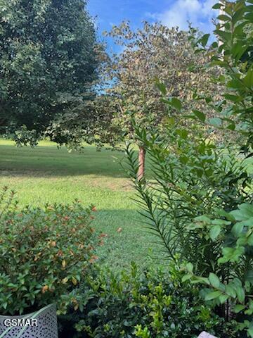 510 Gaye Drive Jefferson City TN 37760