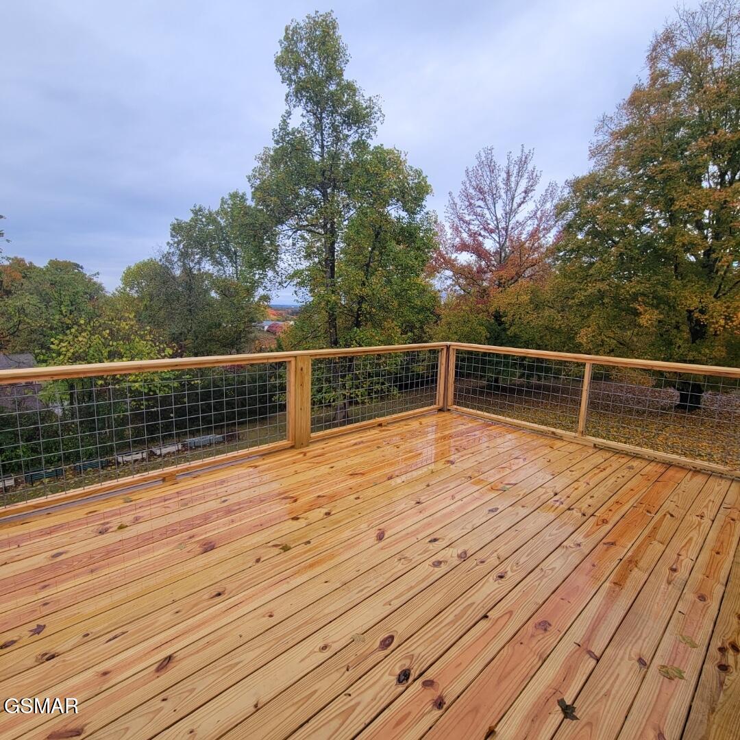 510 Gaye Drive Jefferson City TN 37760