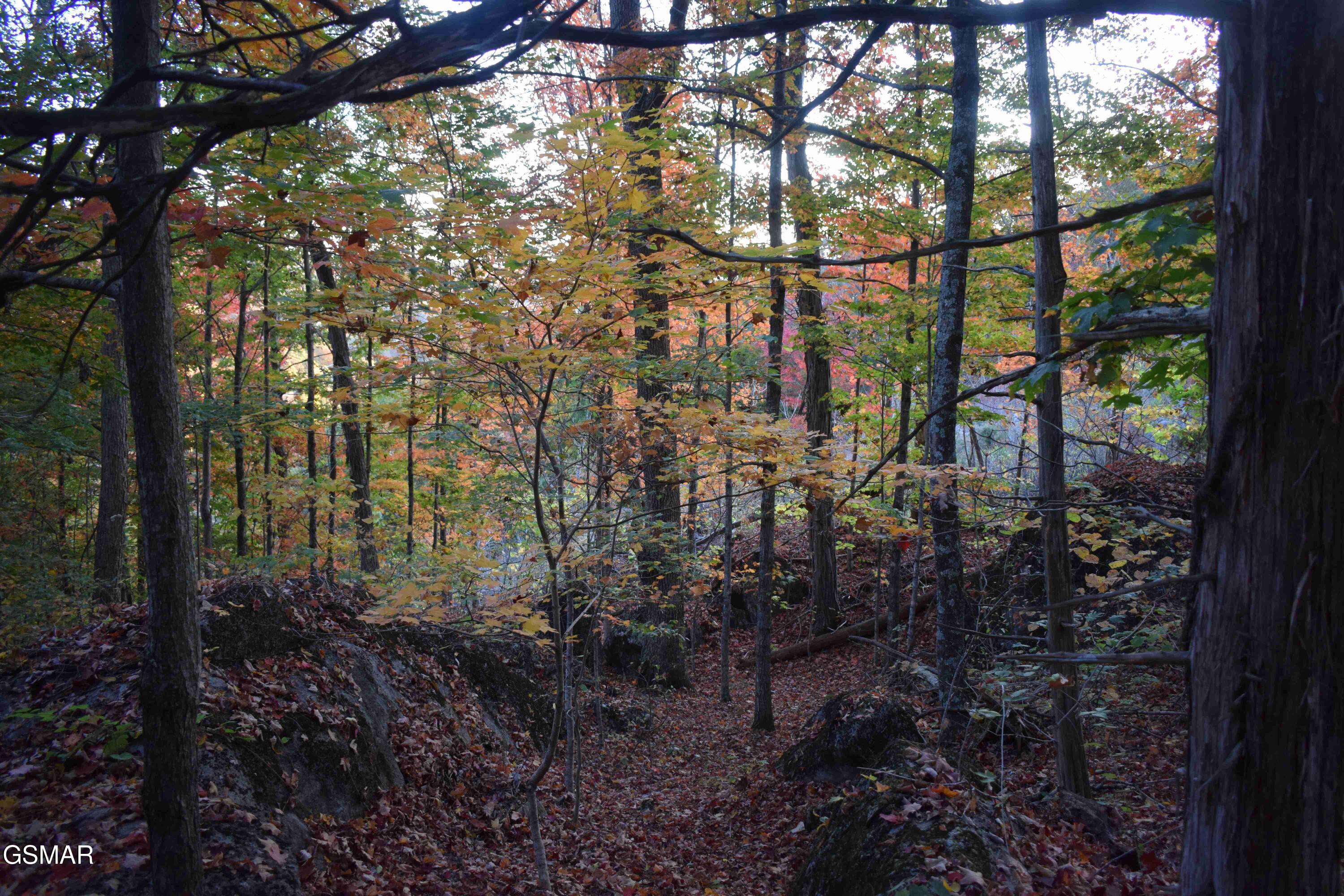 1820 Babbs Mill Road Greeneville TN 37616