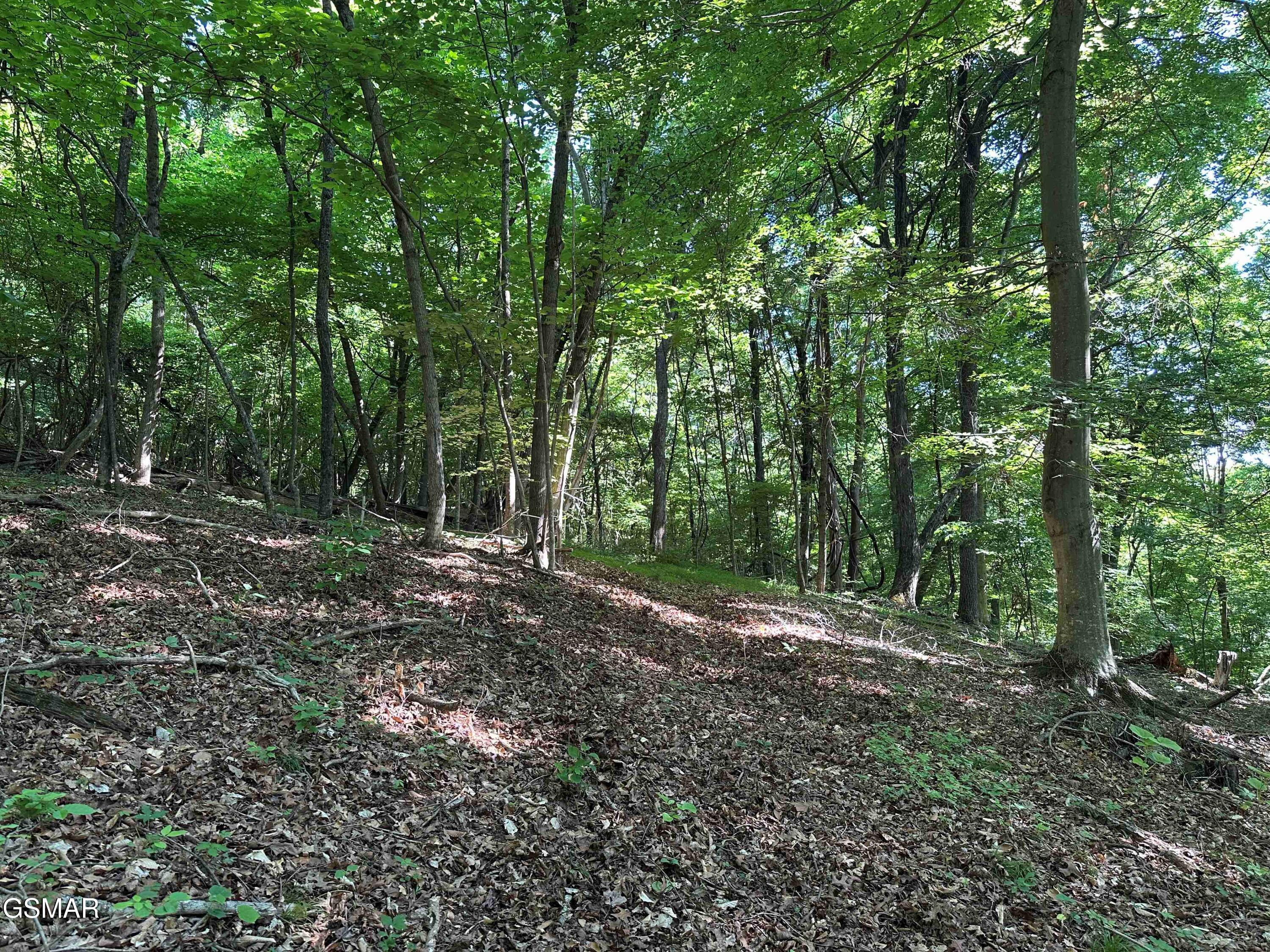 1820 Babbs Mill Road Greeneville TN 37616