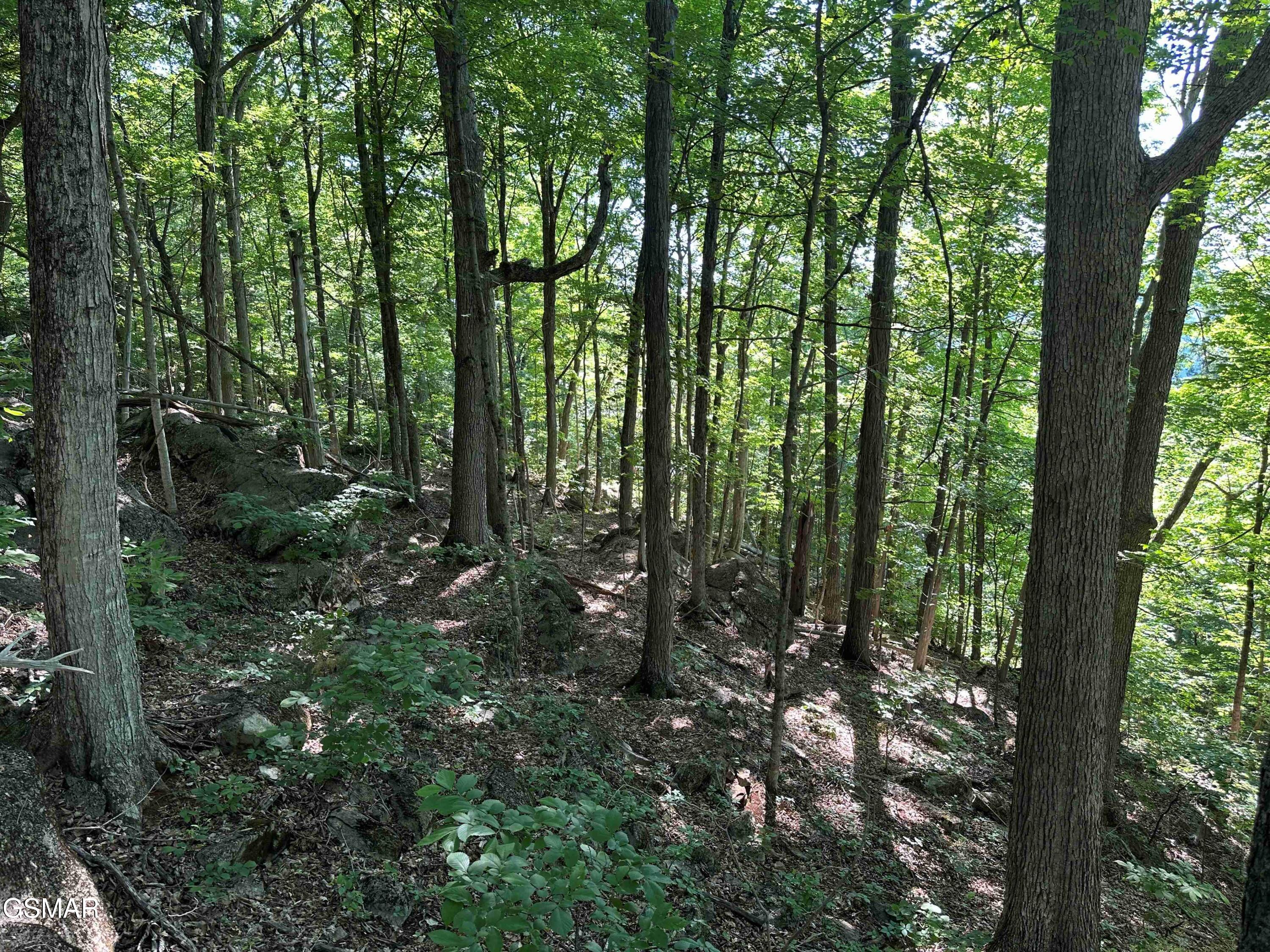 1820 Babbs Mill Road Greeneville TN 37616