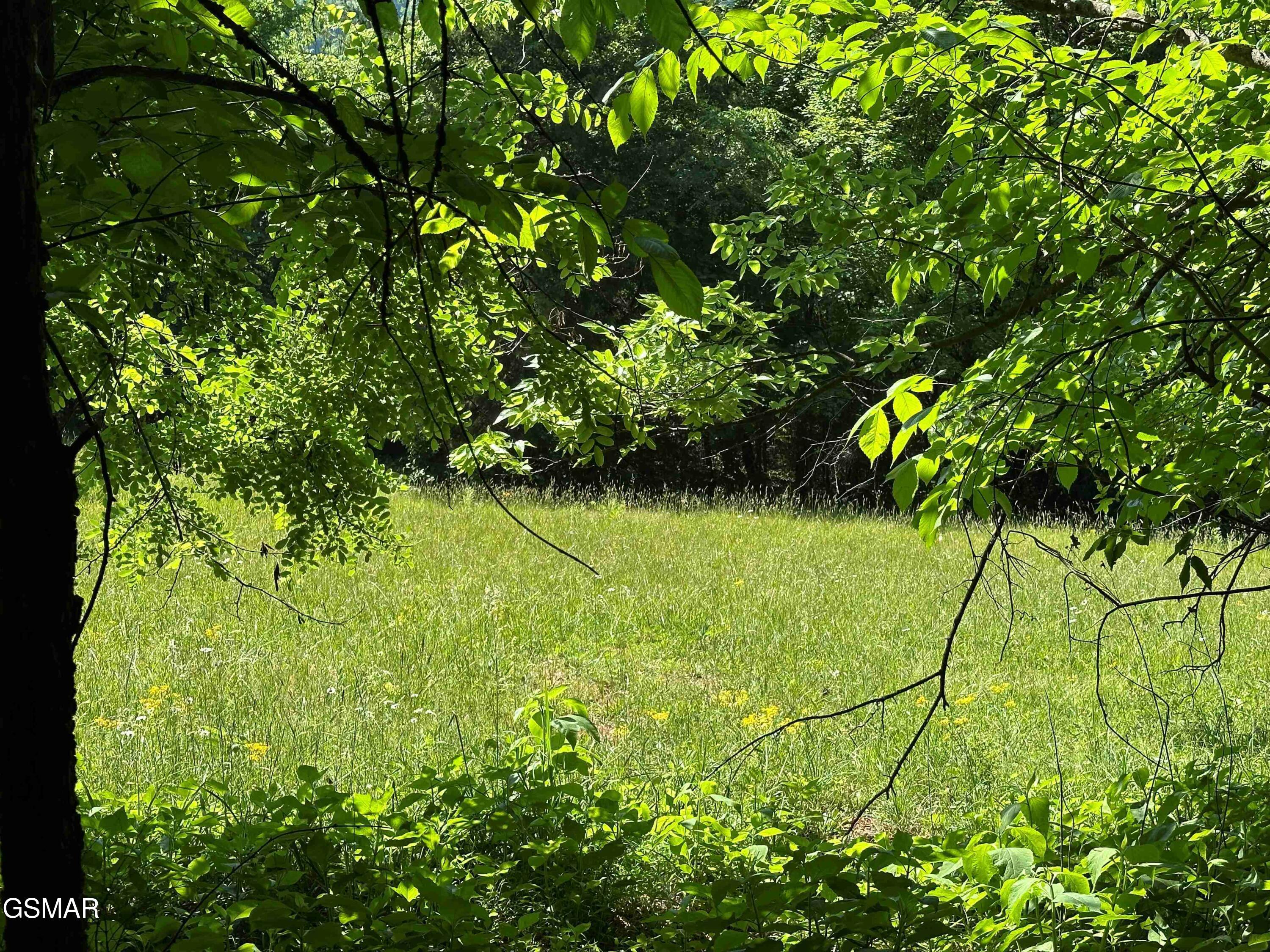 1820 Babbs Mill Road Greeneville TN 37616