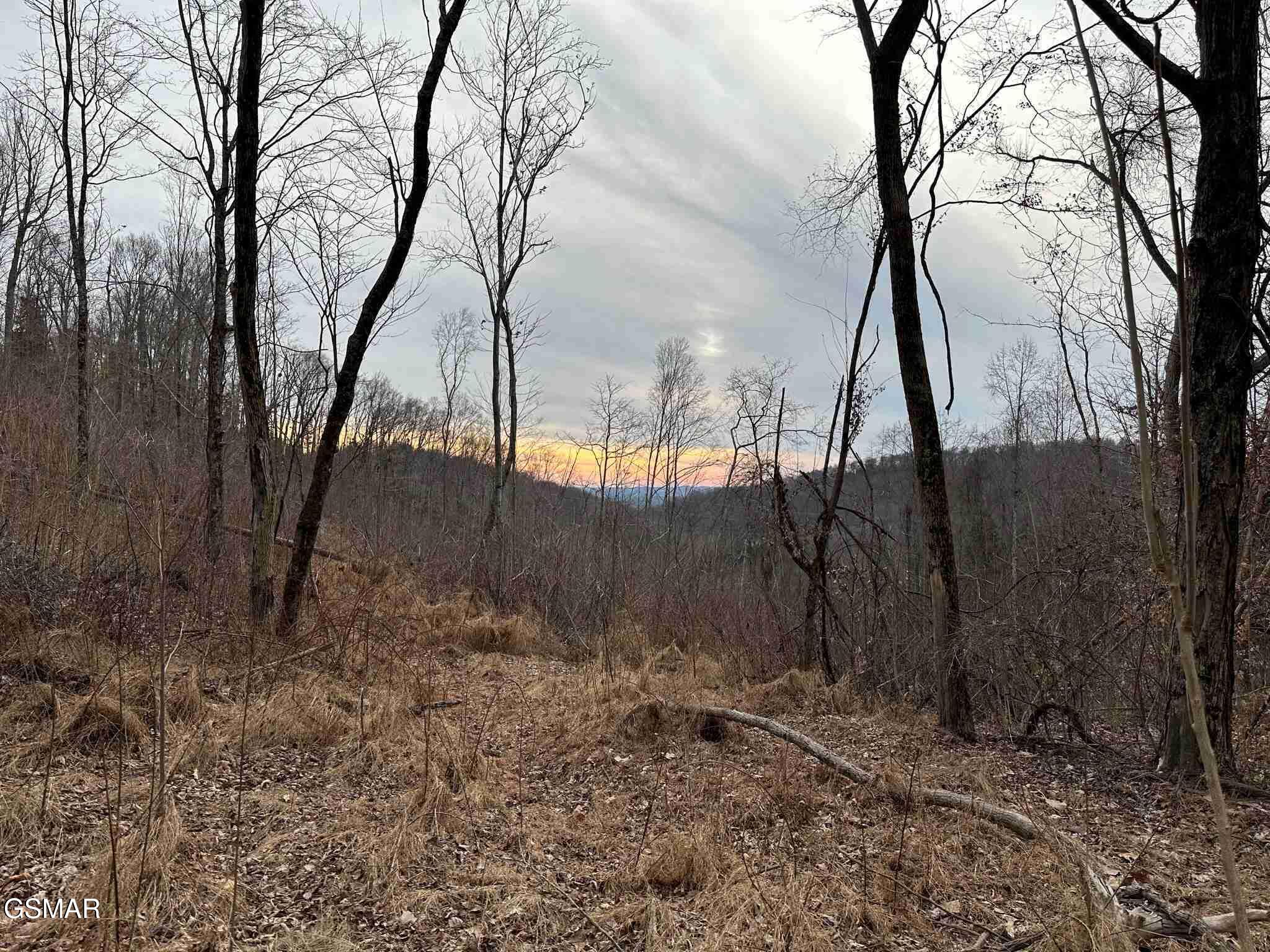 1820 Babbs Mill Road Greeneville TN 37616