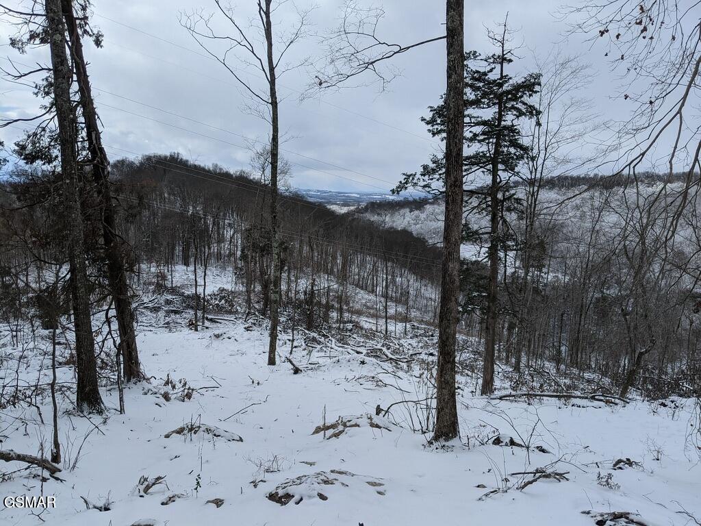 1820 Babbs Mill Road Greeneville TN 37616