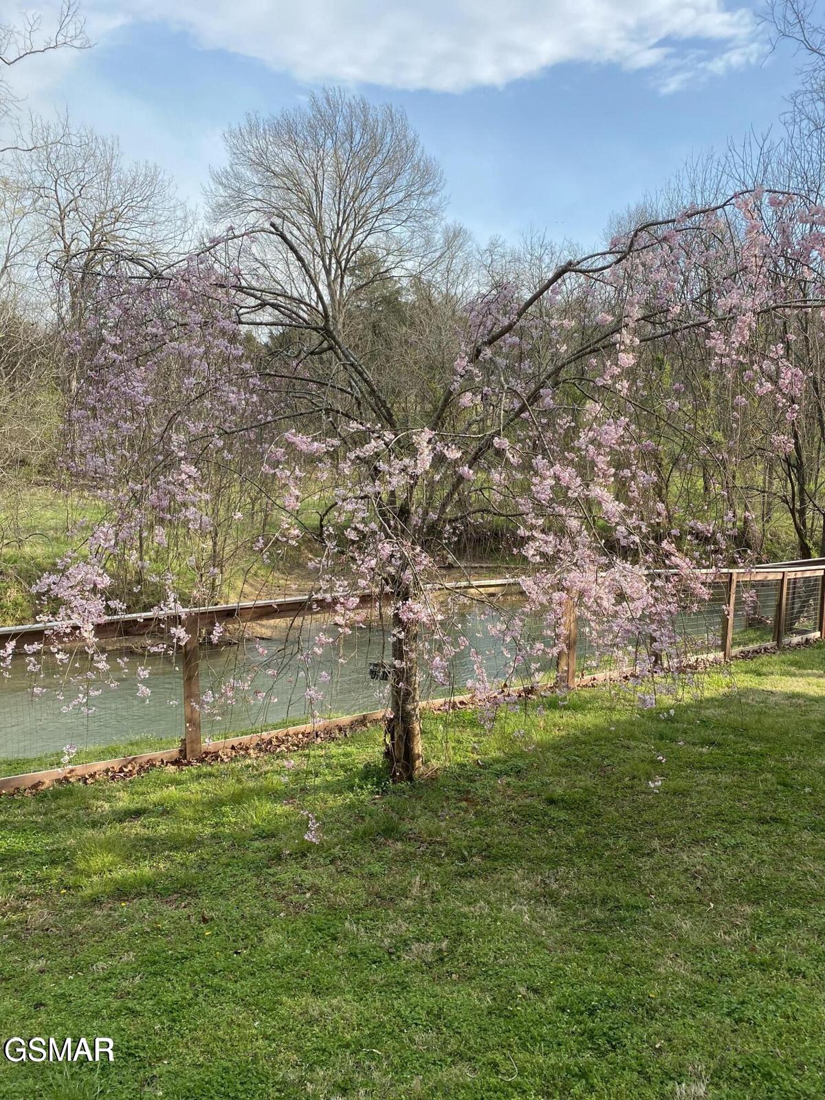 735 Pollard Road Kodak TN 37764