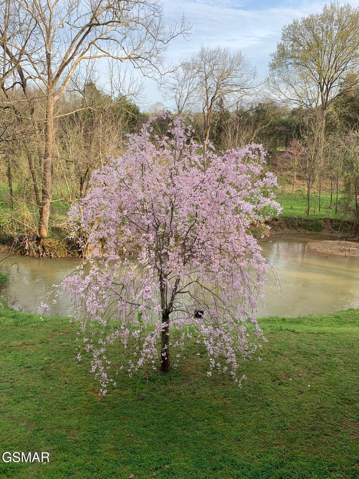735 Pollard Road Kodak TN 37764