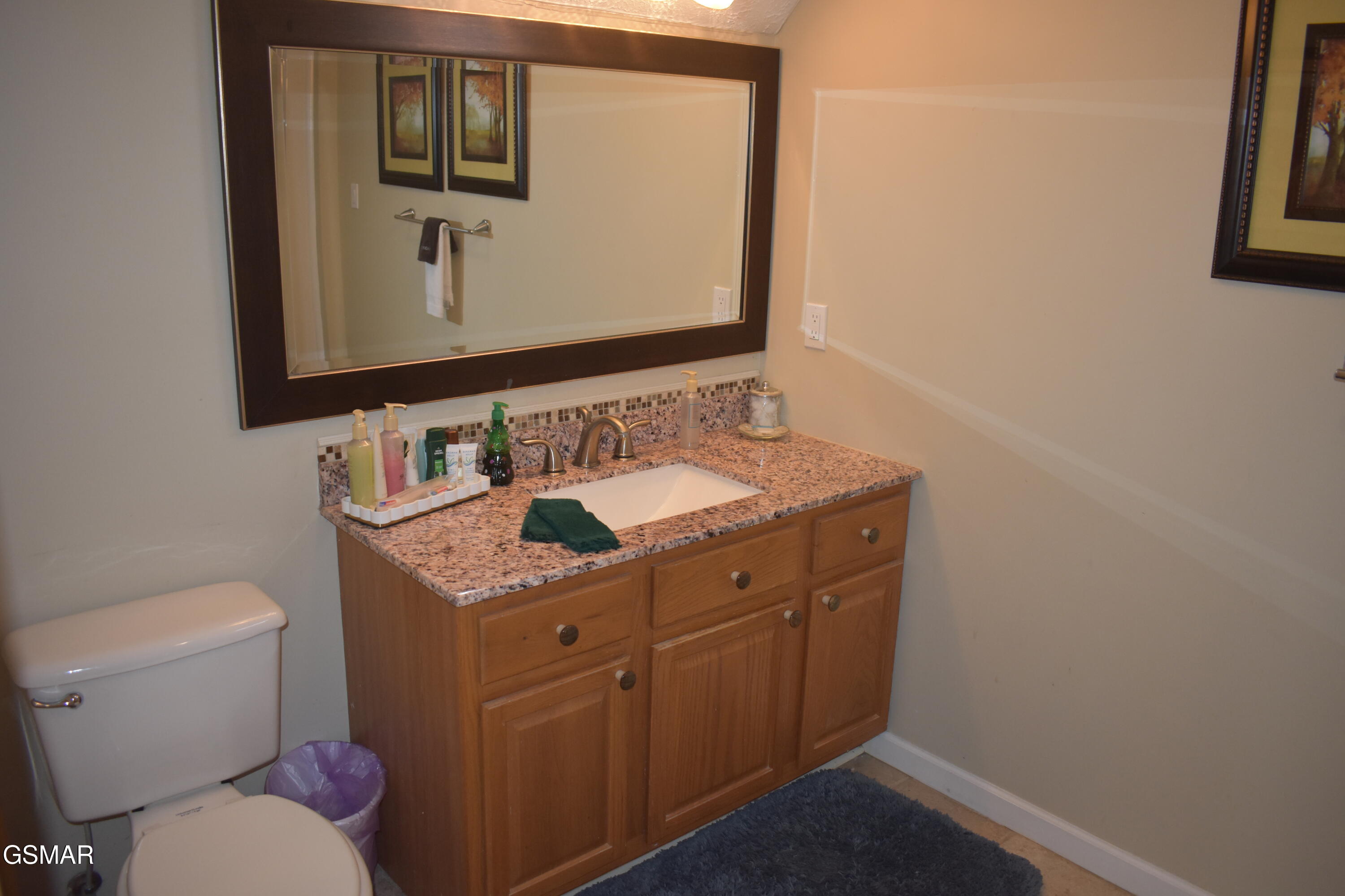 3516 Brook Stone Way Pigeon Forge TN 37863