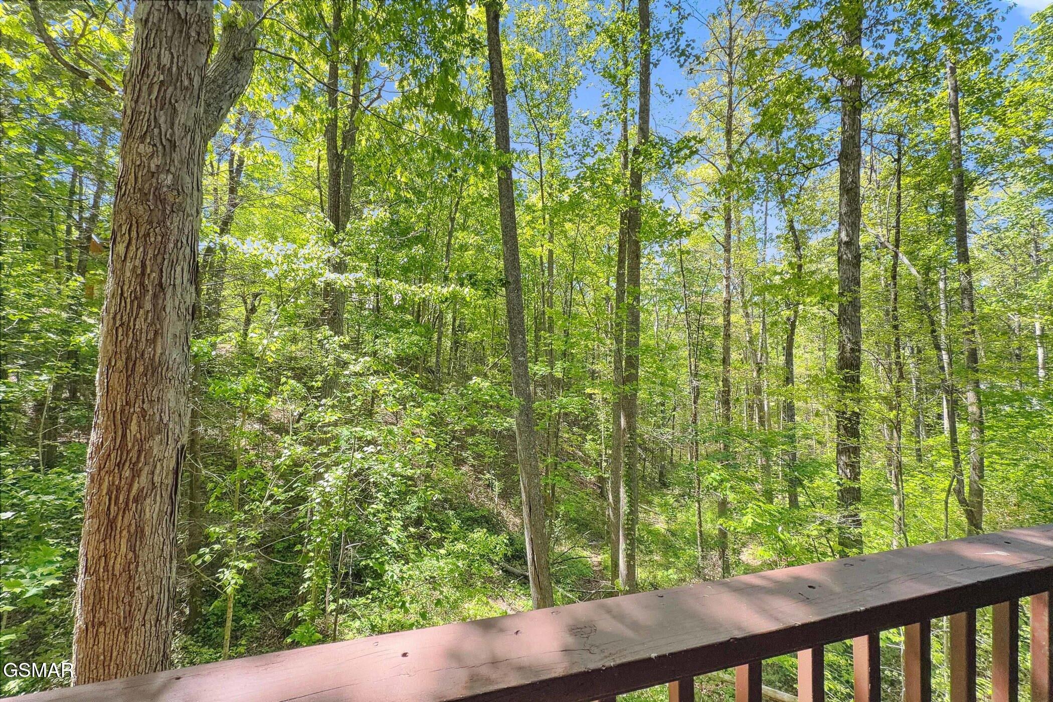 1607 S Mountain View Road Sevierville TN 37876
