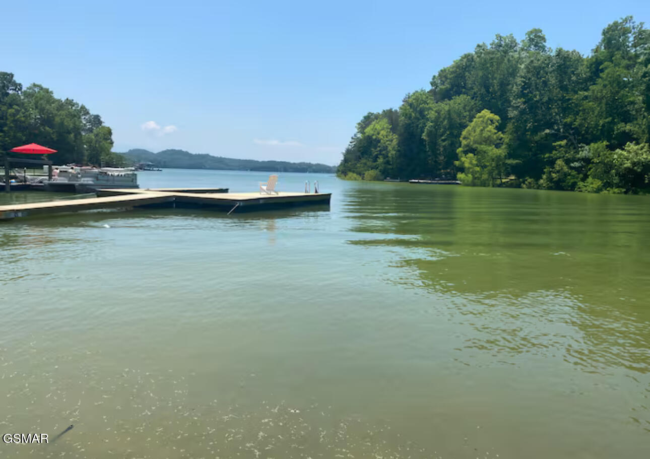 1448 Dover Lane Dandridge TN 37725