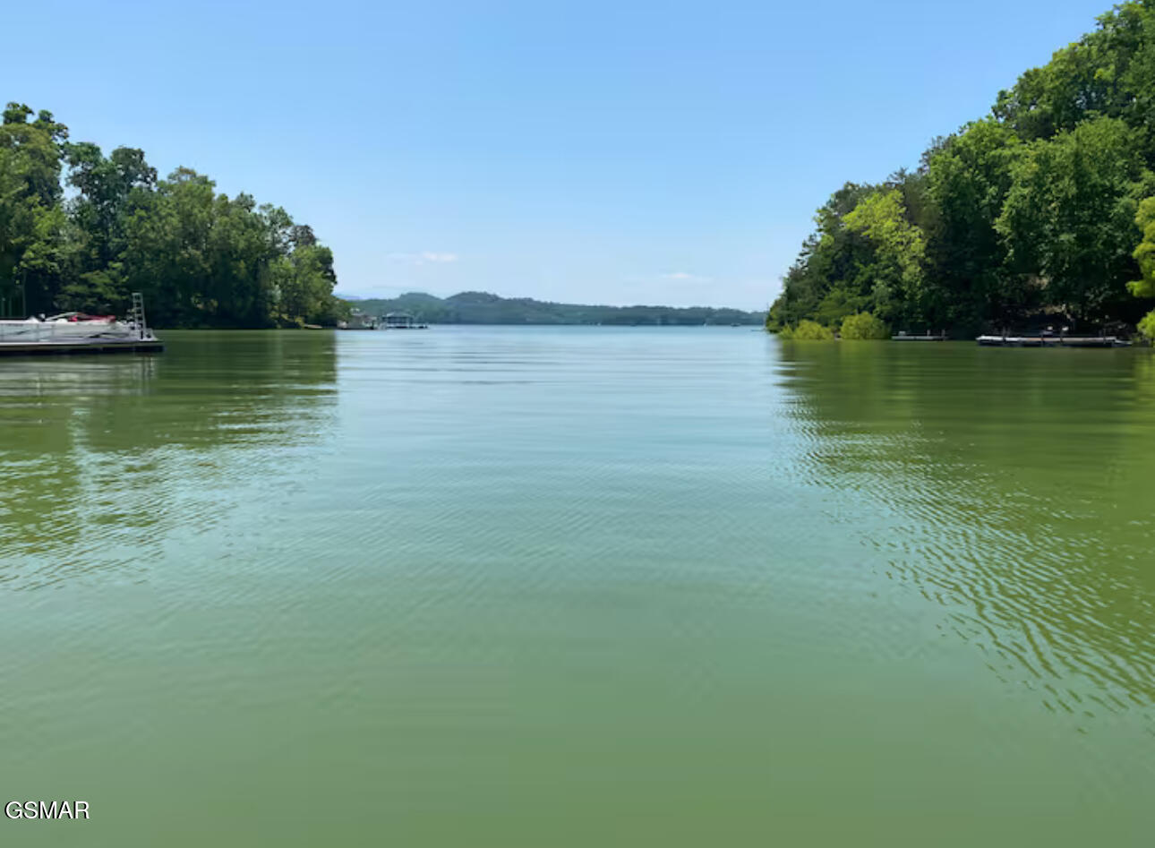 1448 Dover Lane Dandridge TN 37725
