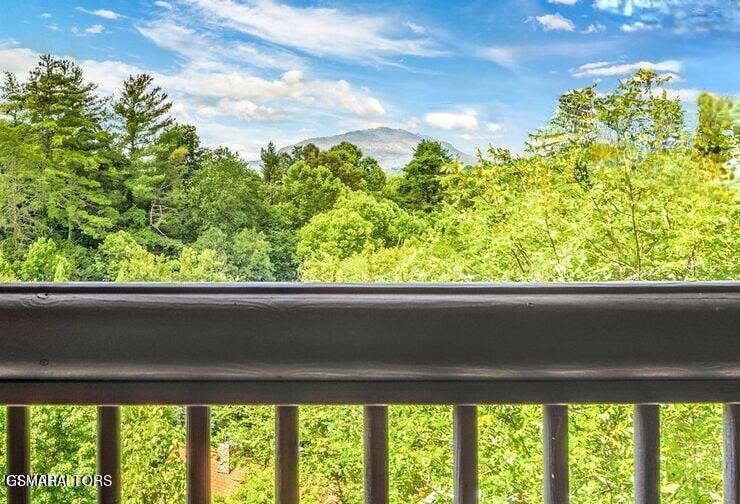 1003 Walini Way Sevierville TN 37876