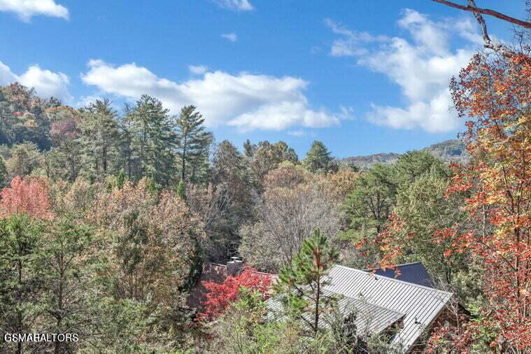 1003 Walini Way Sevierville TN 37876