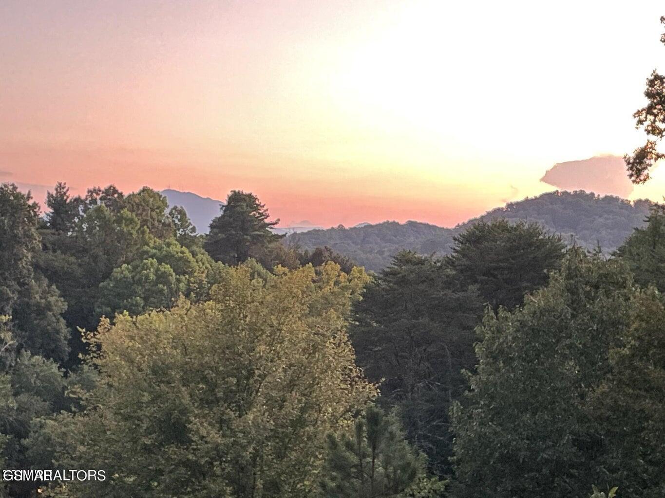 1003 Walini Way Sevierville TN 37876