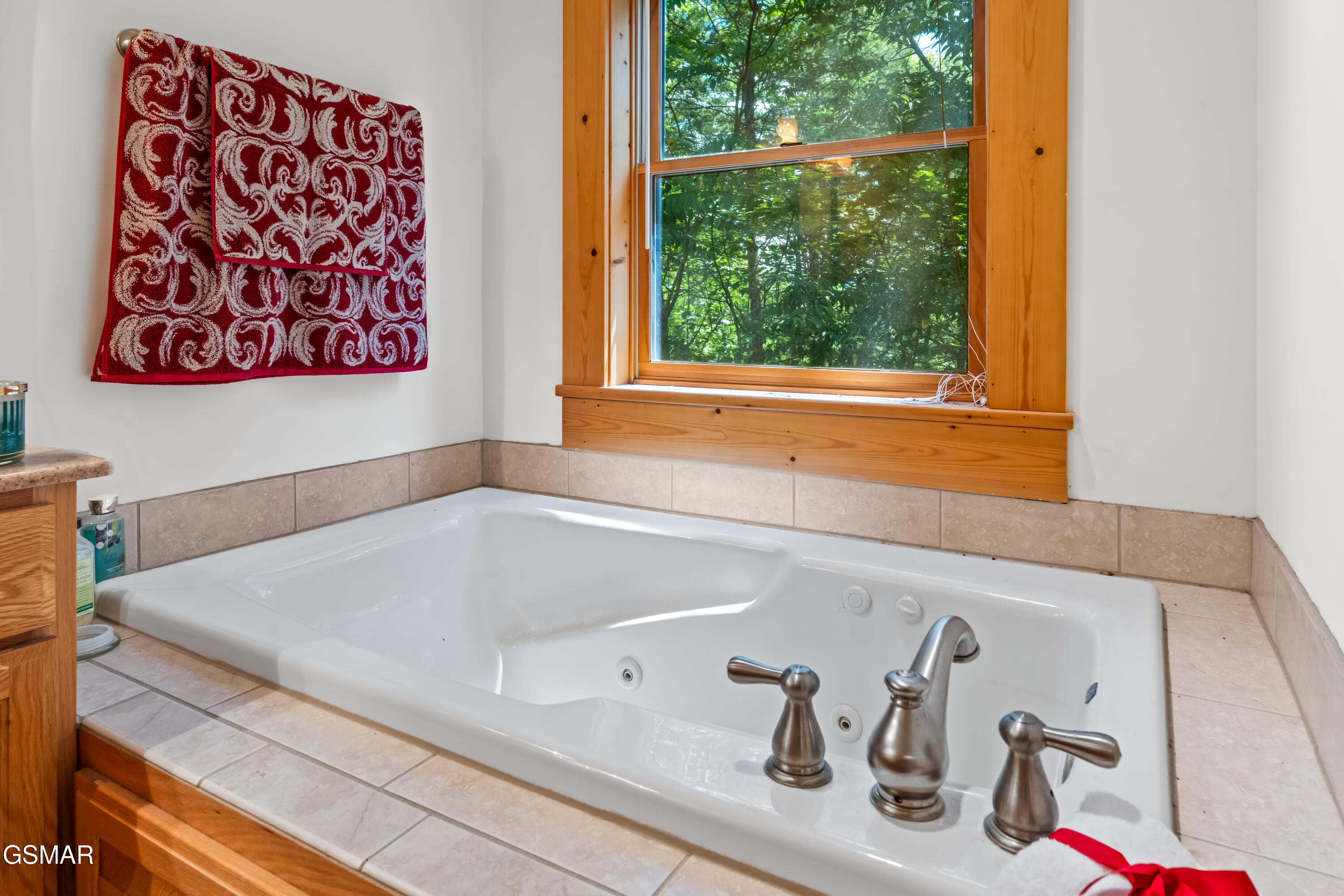 1525 Mountain Trail Lane Sevierville TN 37876