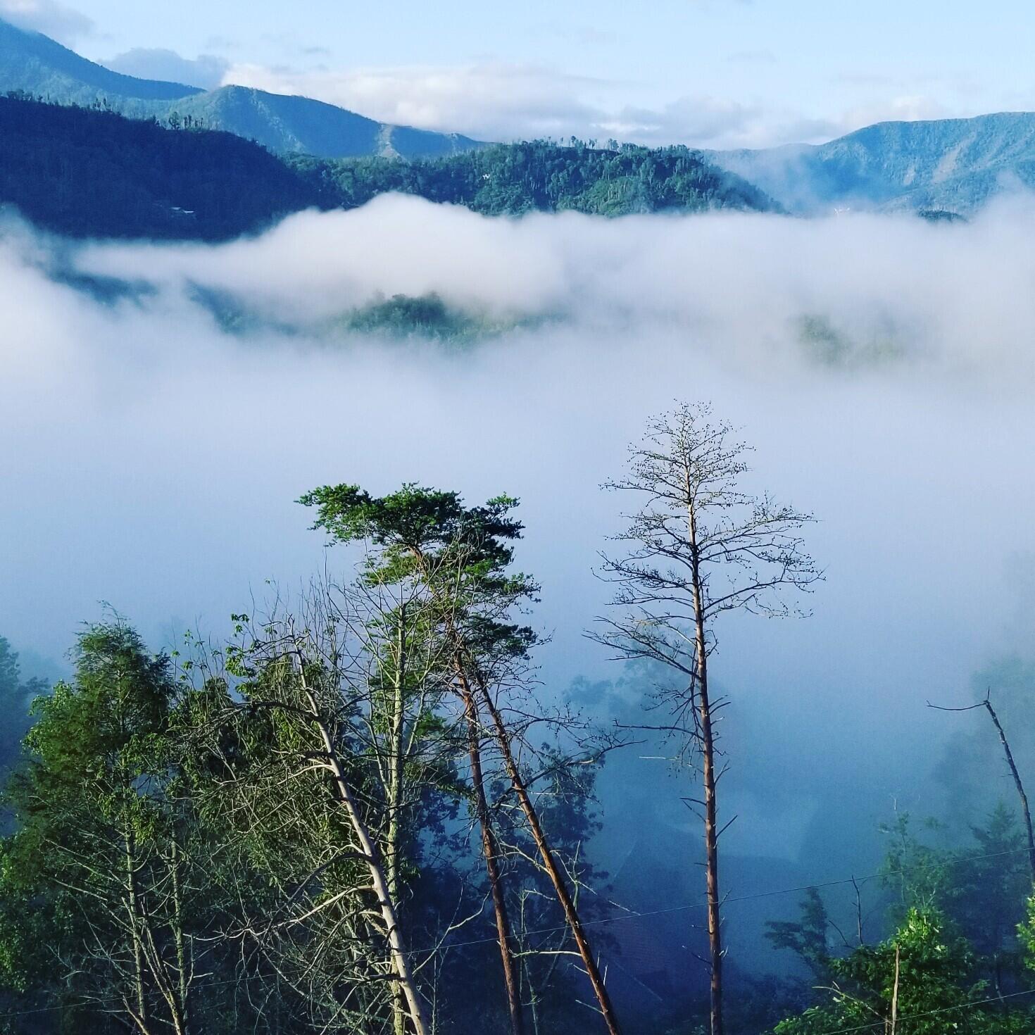 216 W Pinnacle Drive Gatlinburg TN 37738