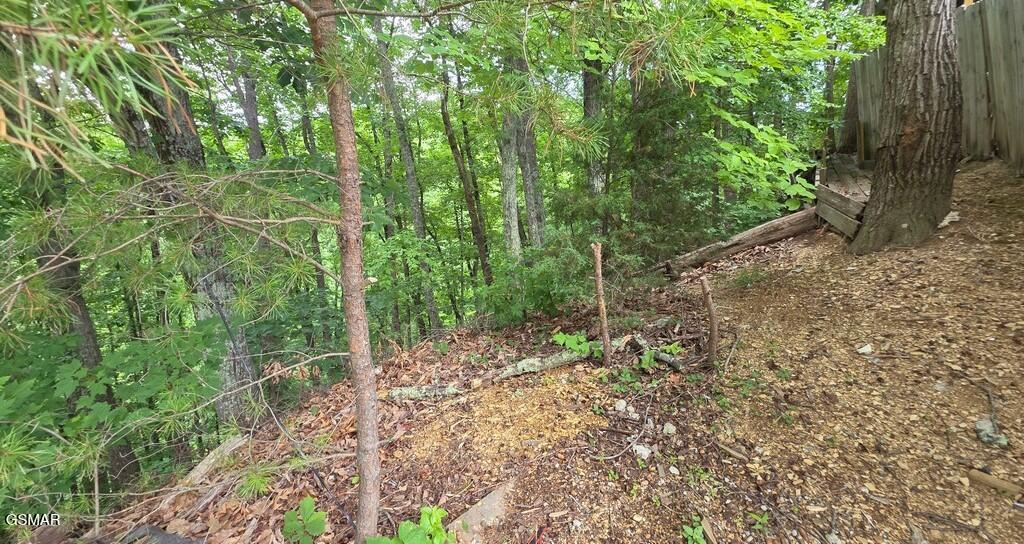 3073 Engle Town Road Sevierville TN 37862