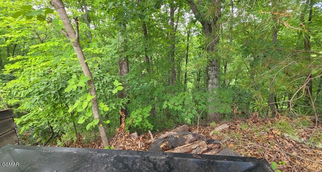 3073 Engle Town Road Sevierville TN 37862