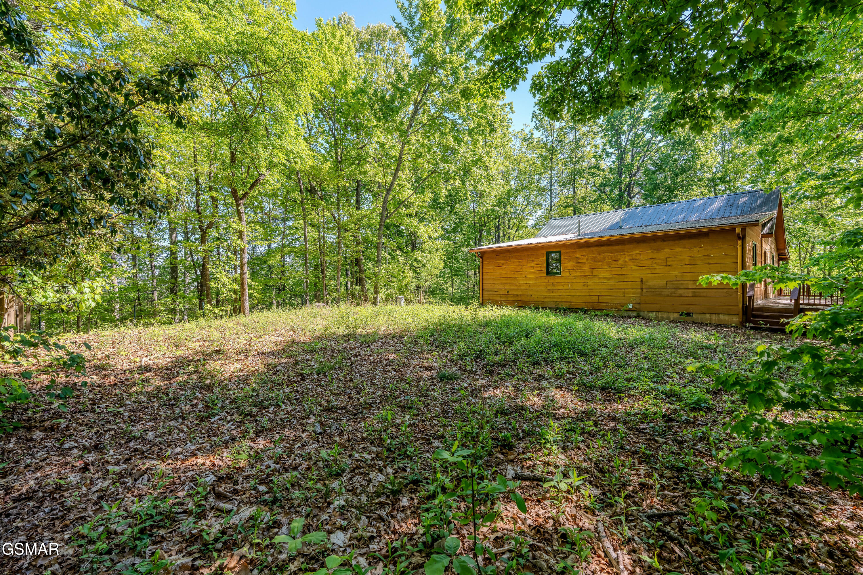 3521 Vonnie View Way Sevierville TN 37876