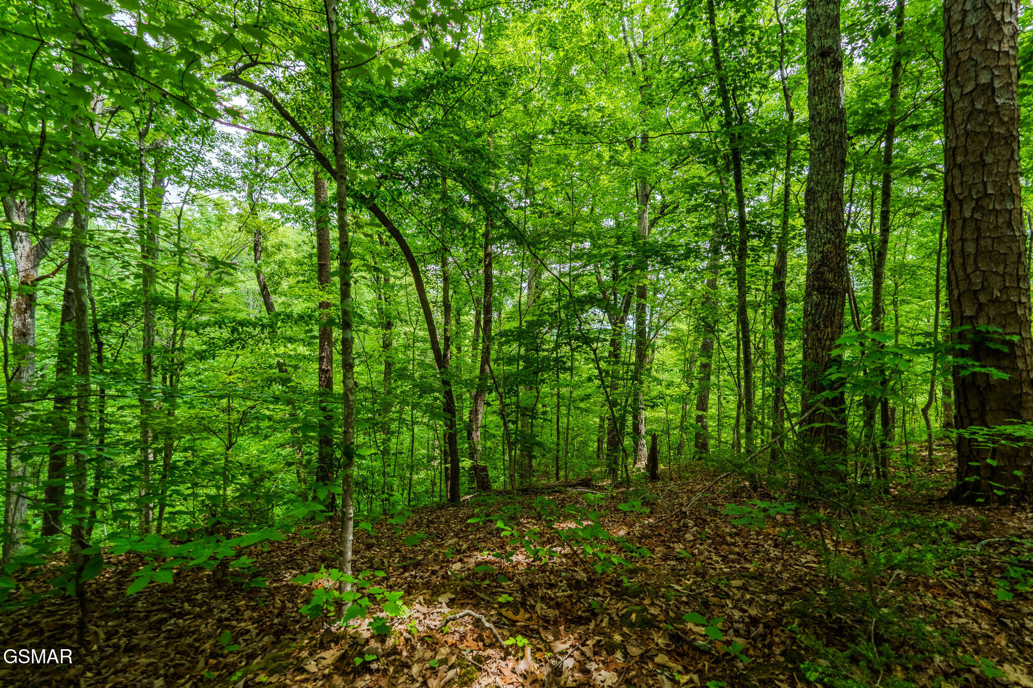 1056 Dudley Drive Sevierville TN 37876