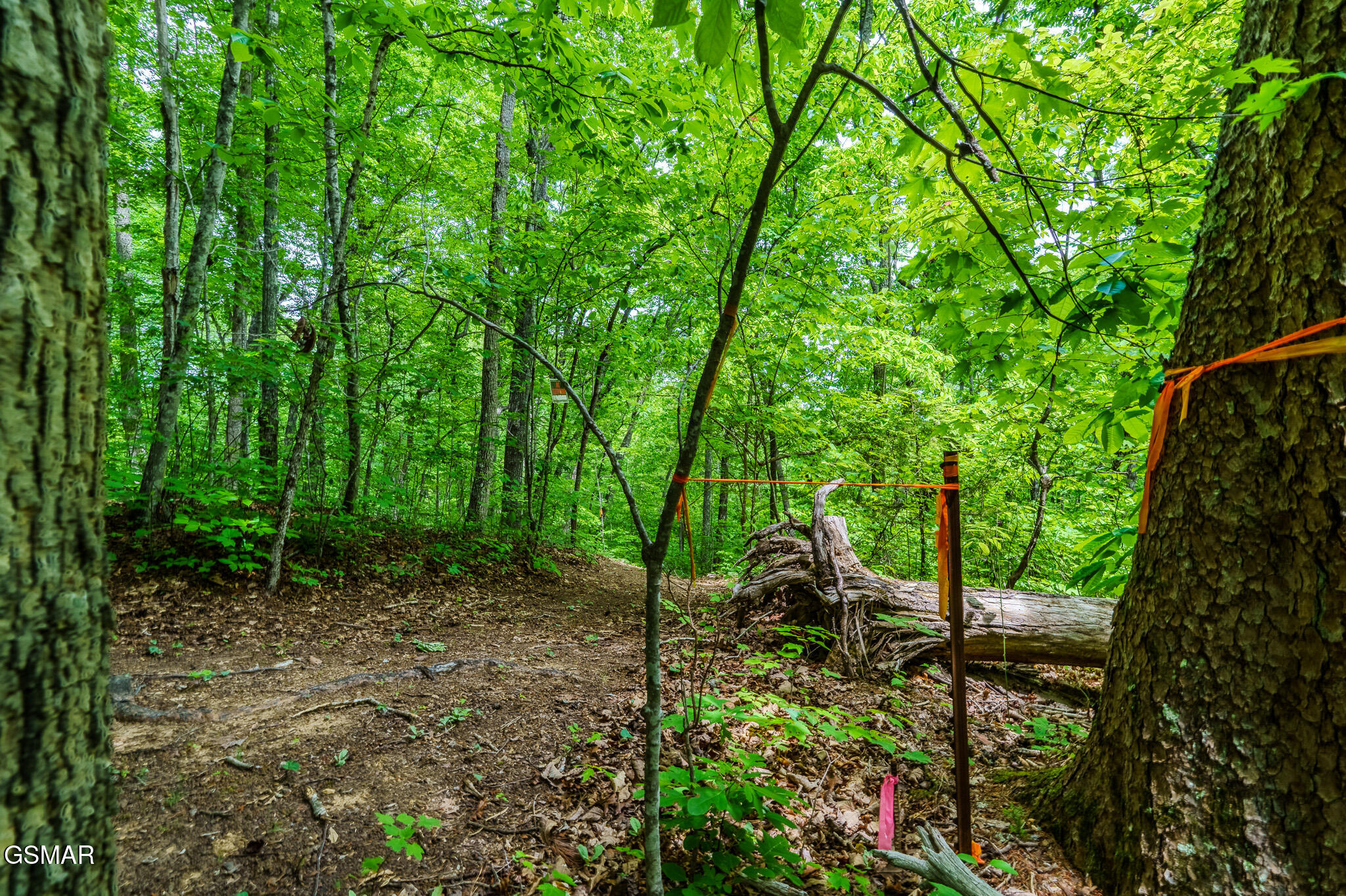 1056 Dudley Drive Sevierville TN 37876