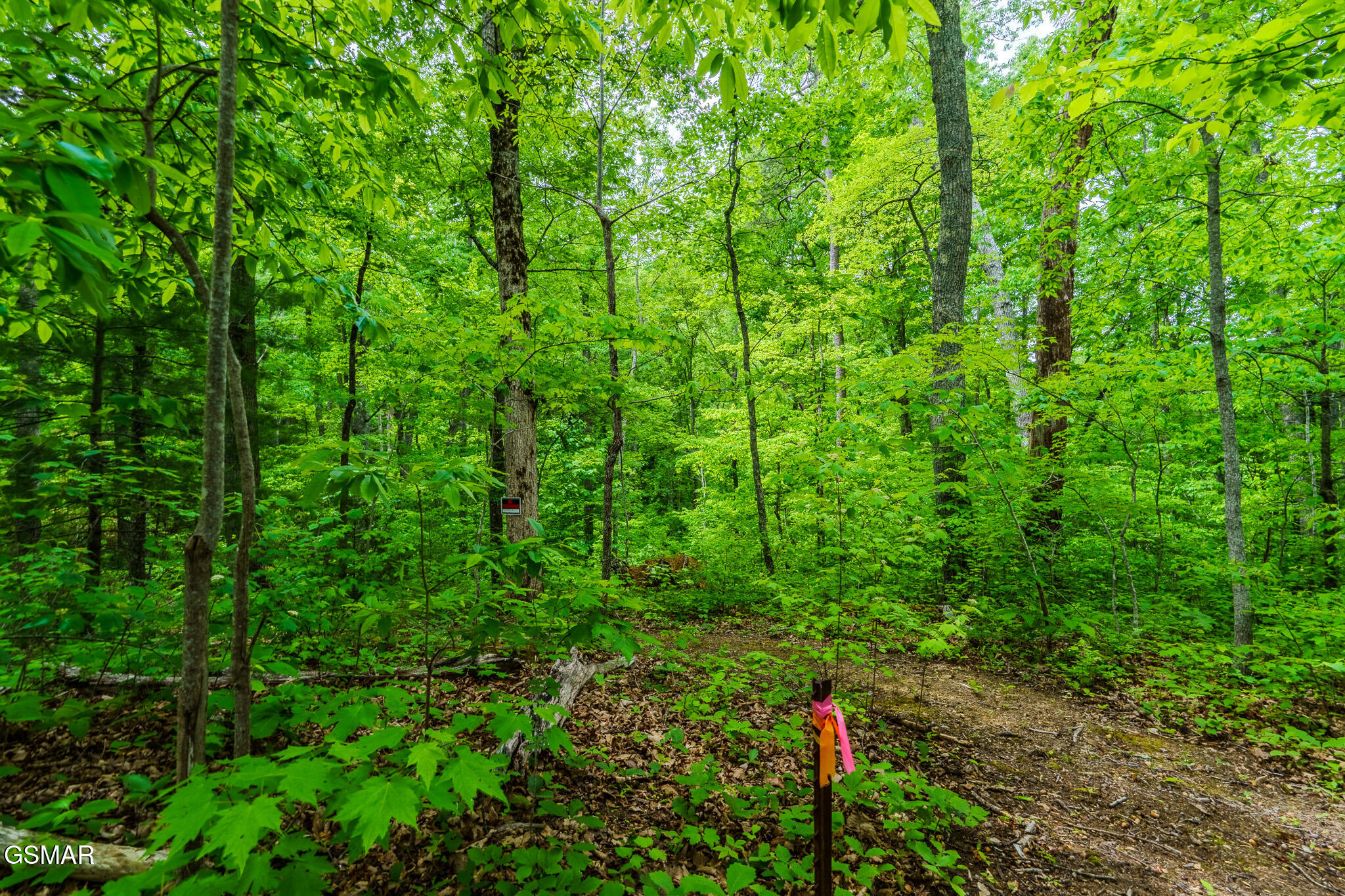 1056 Dudley Drive Sevierville TN 37876