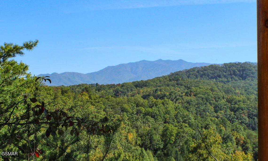 4326 Forest Ridge Way Pigeon Forge TN 37863