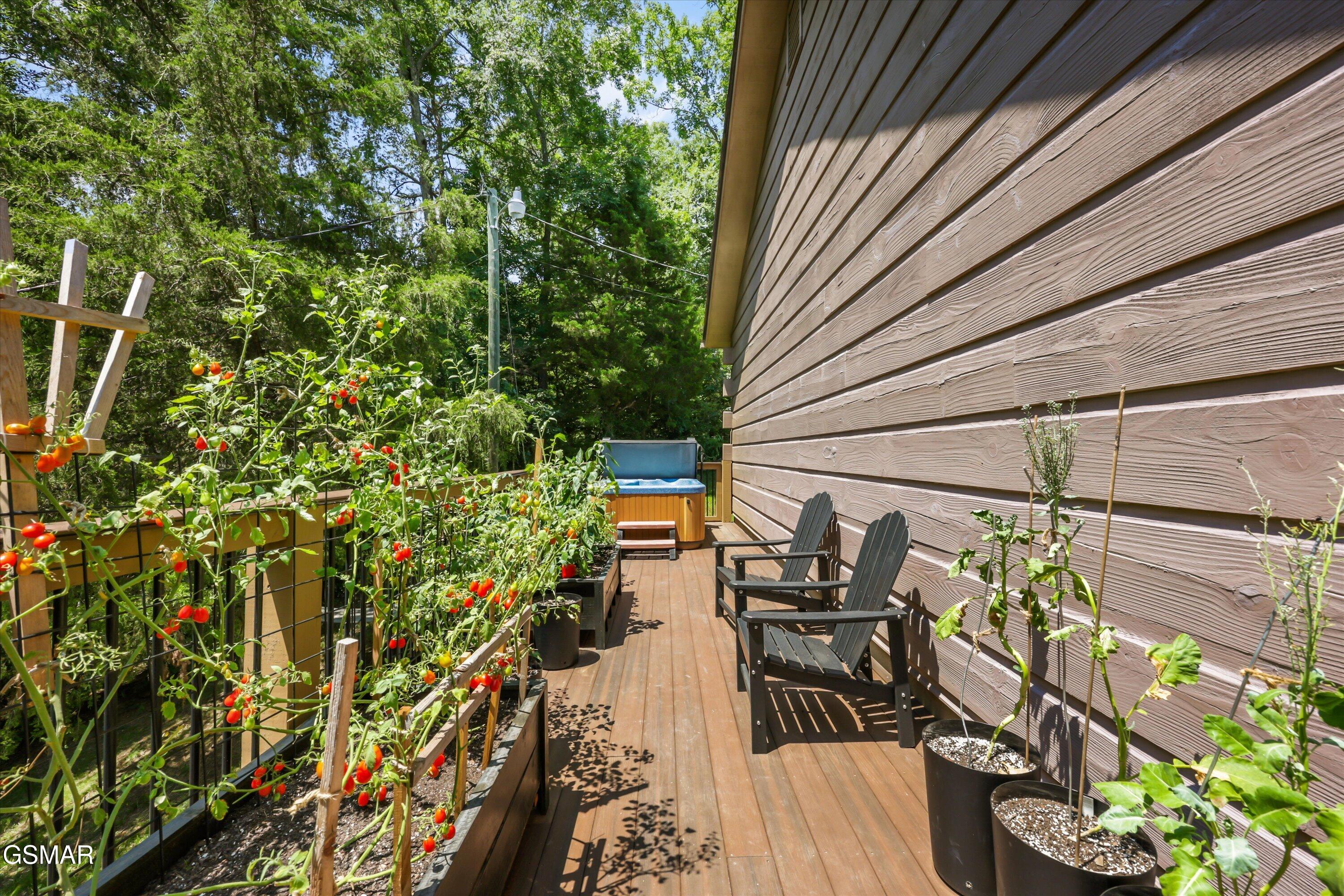 288 Panther Creek Road Sevierville TN 37876