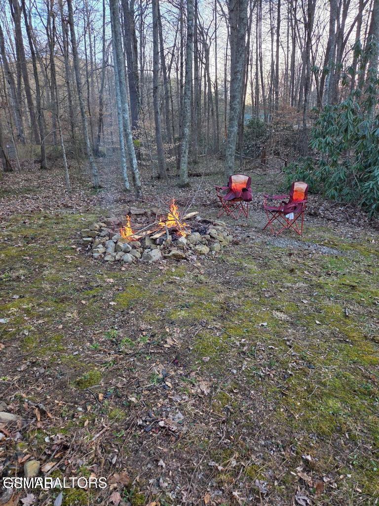 279 Sub Road Cosby TN 37722