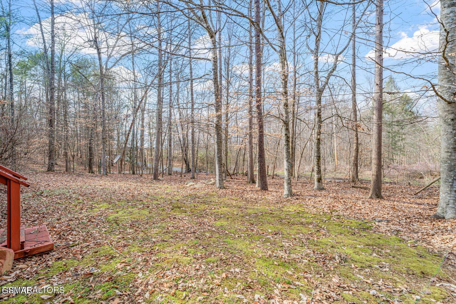 279 Sub Road Cosby TN 37722