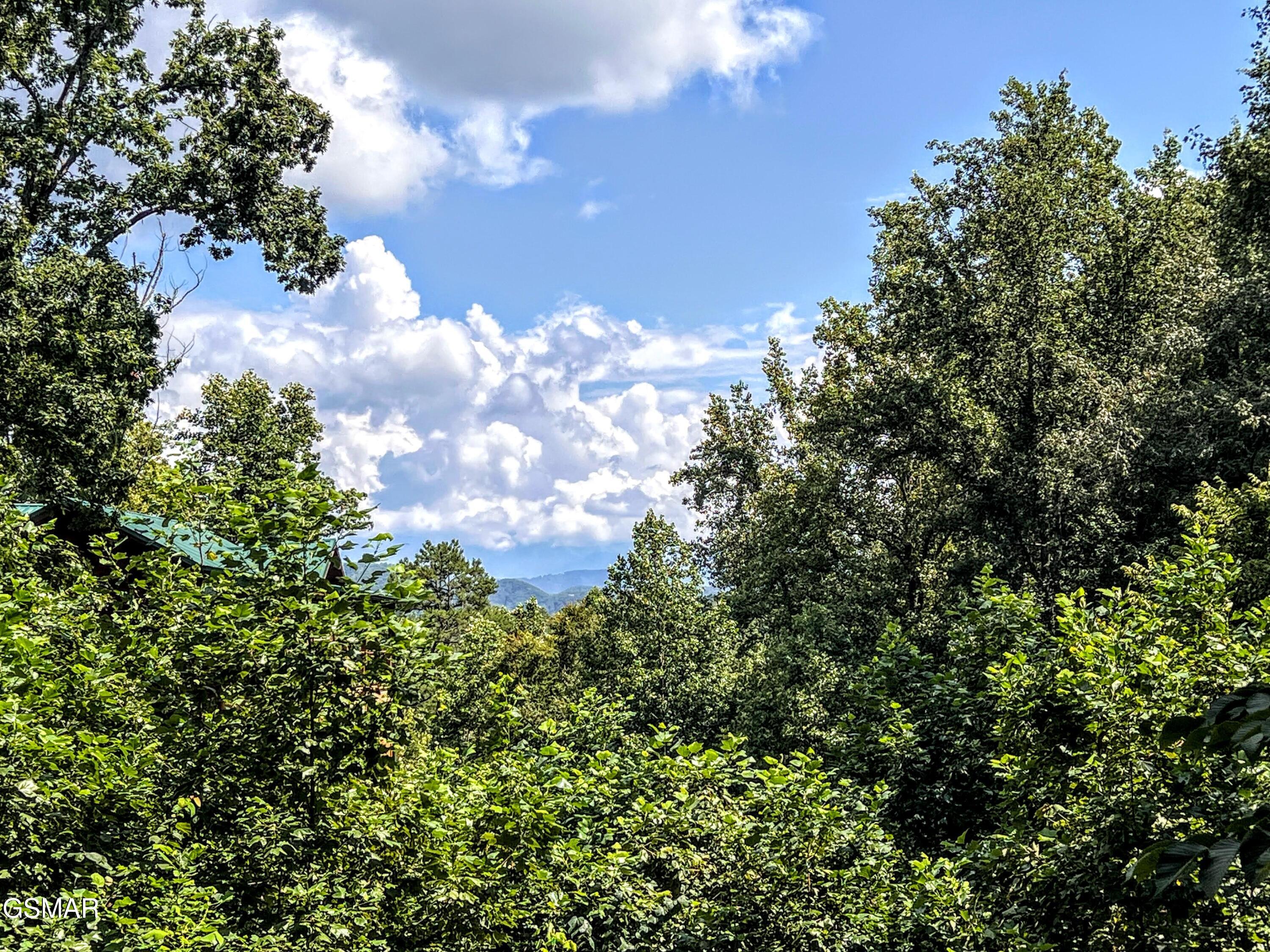 1625 Bluff Ridge Road Sevierville TN 37876