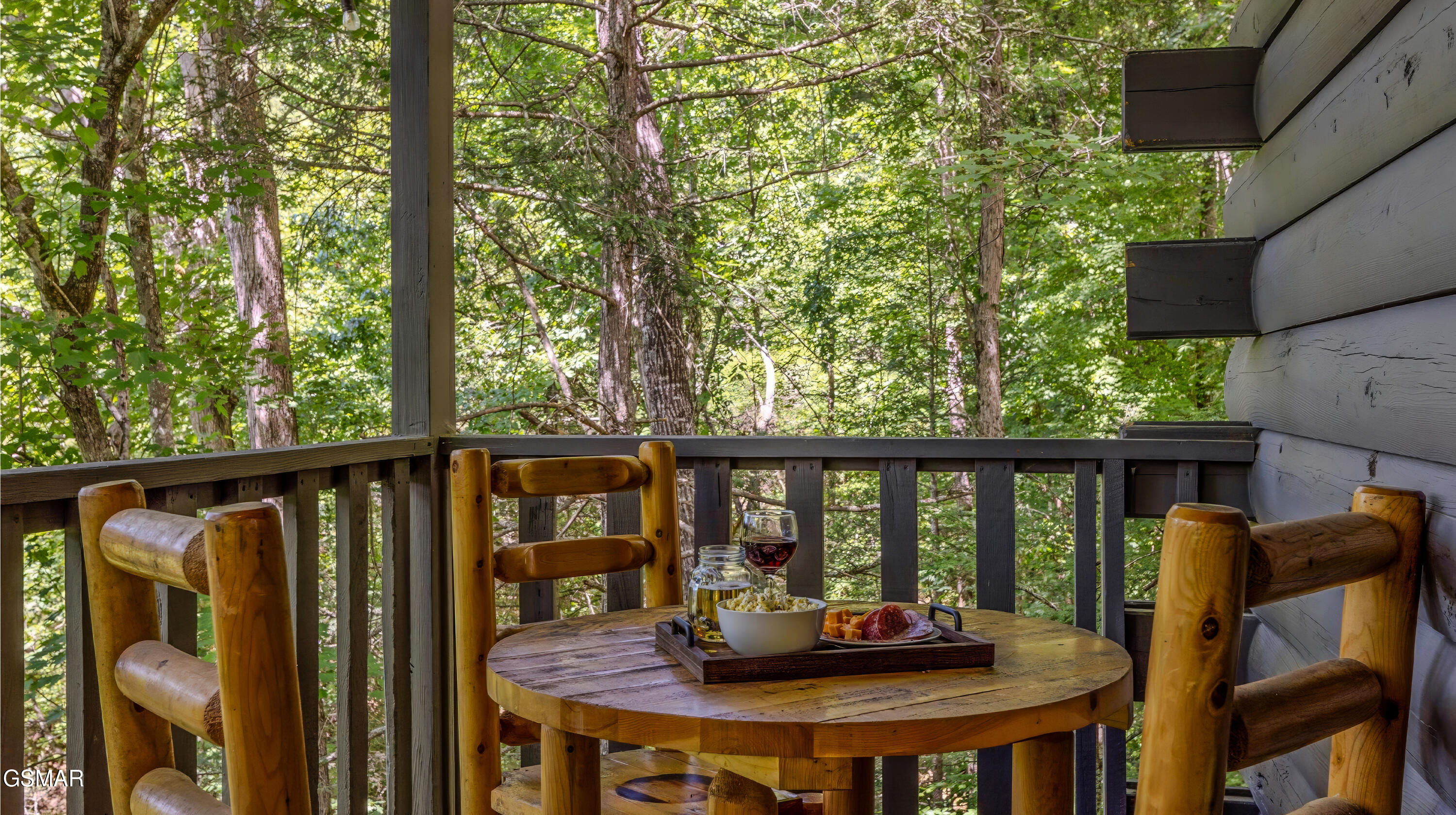 1727 Oakridge View Lane Sevierville TN 37876
