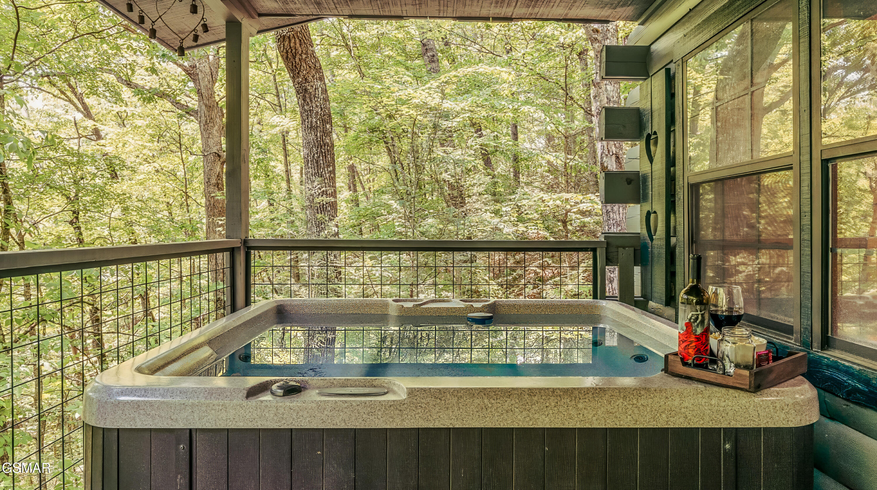 1727 Oakridge View Lane Sevierville TN 37876