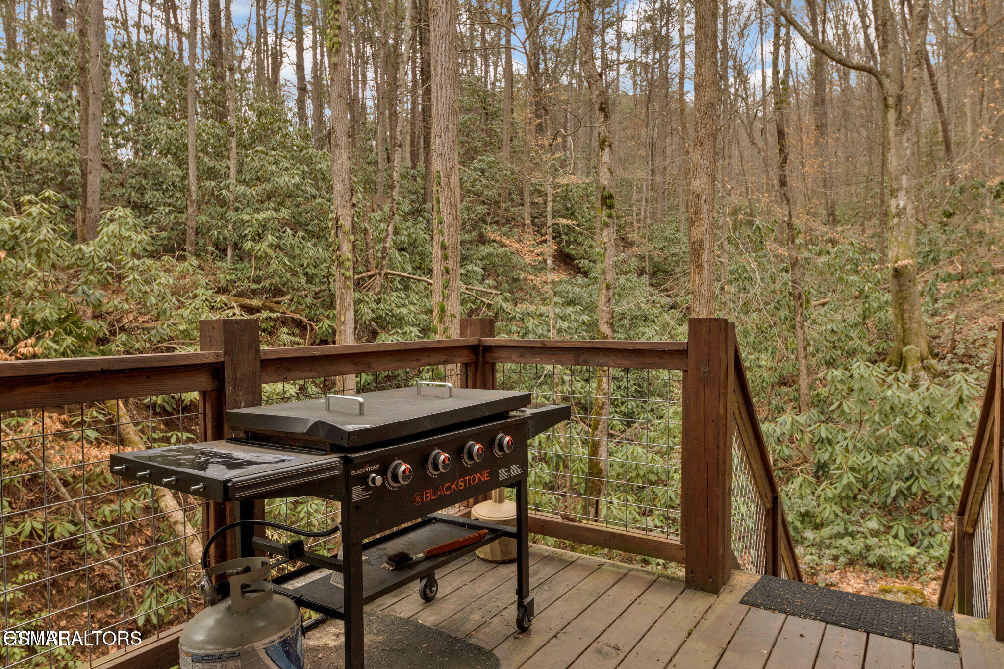 3114 Brothers Way Sevierville TN 37862