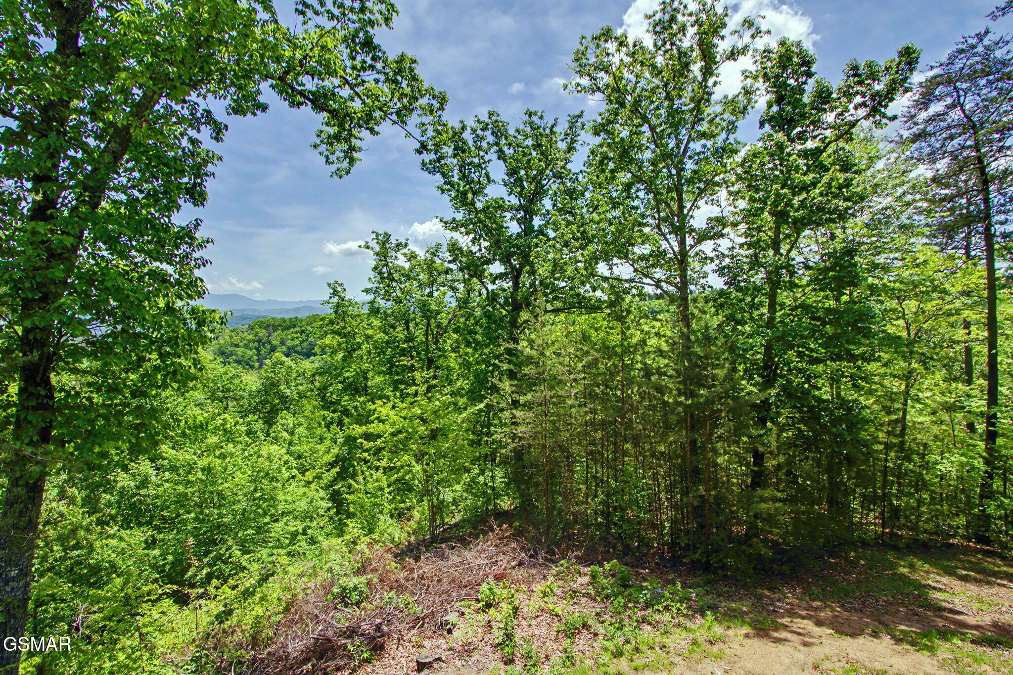 1723 Bluff Ridge Road Sevierville TN 37876