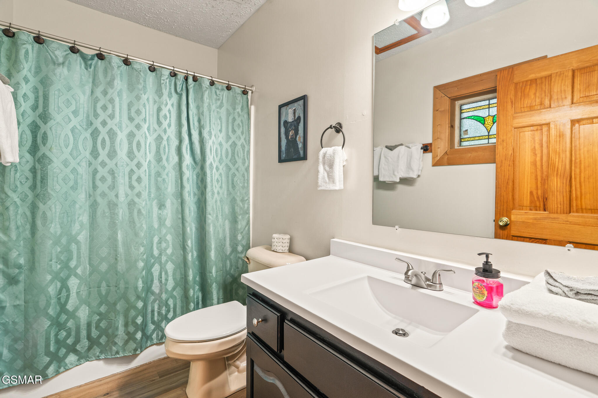 314 Brown Wren Way Gatlinburg TN 37738