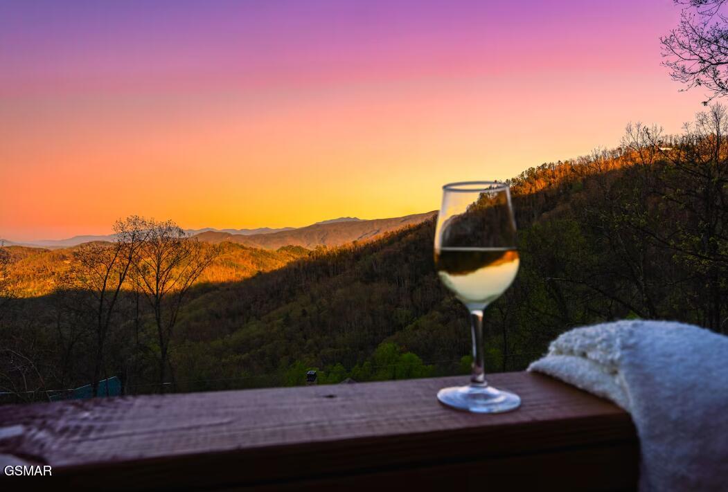 2775 Overholt Trail Sevierville TN 37862
