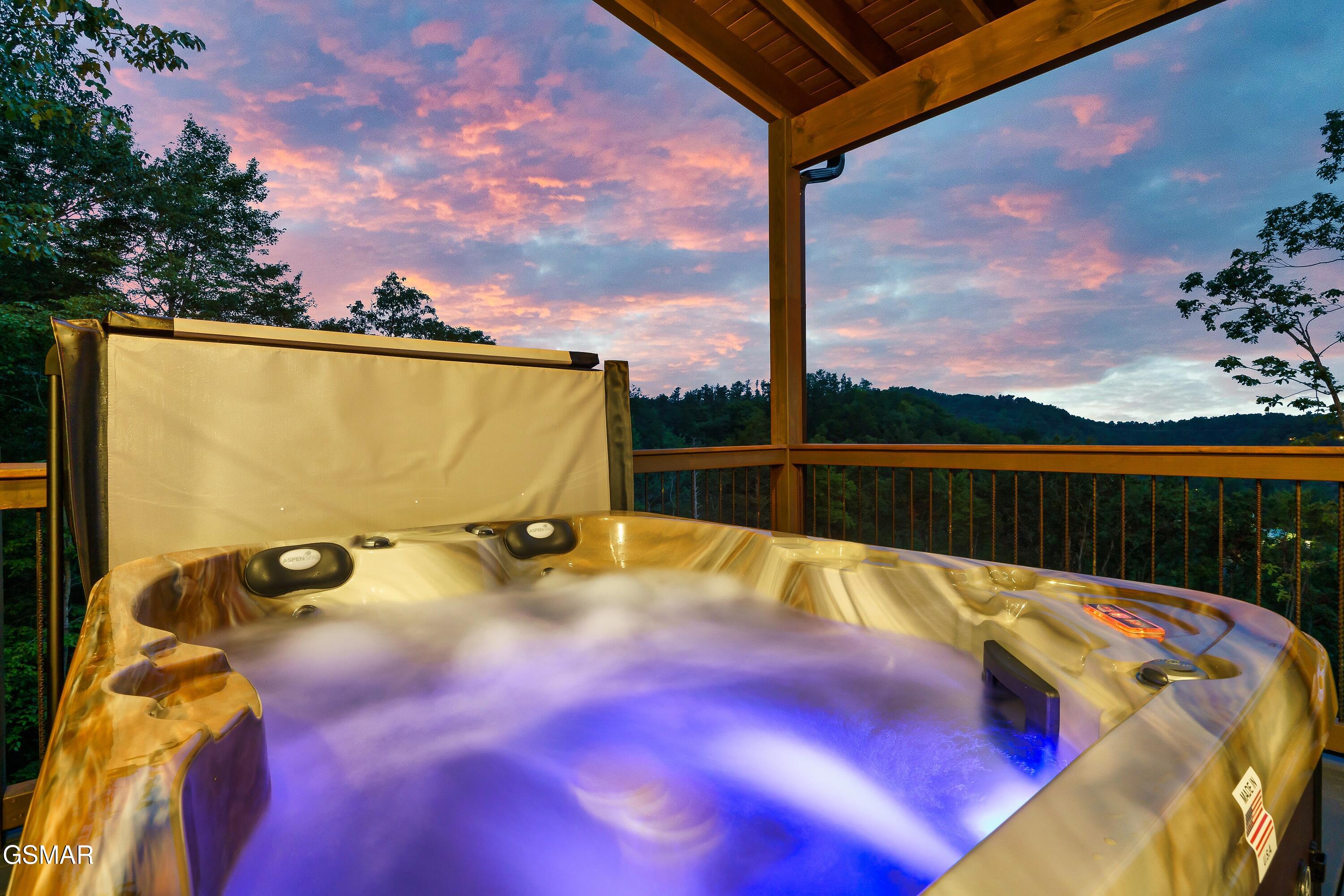 2420 Cove Mtn Lane Sevierville TN 37862