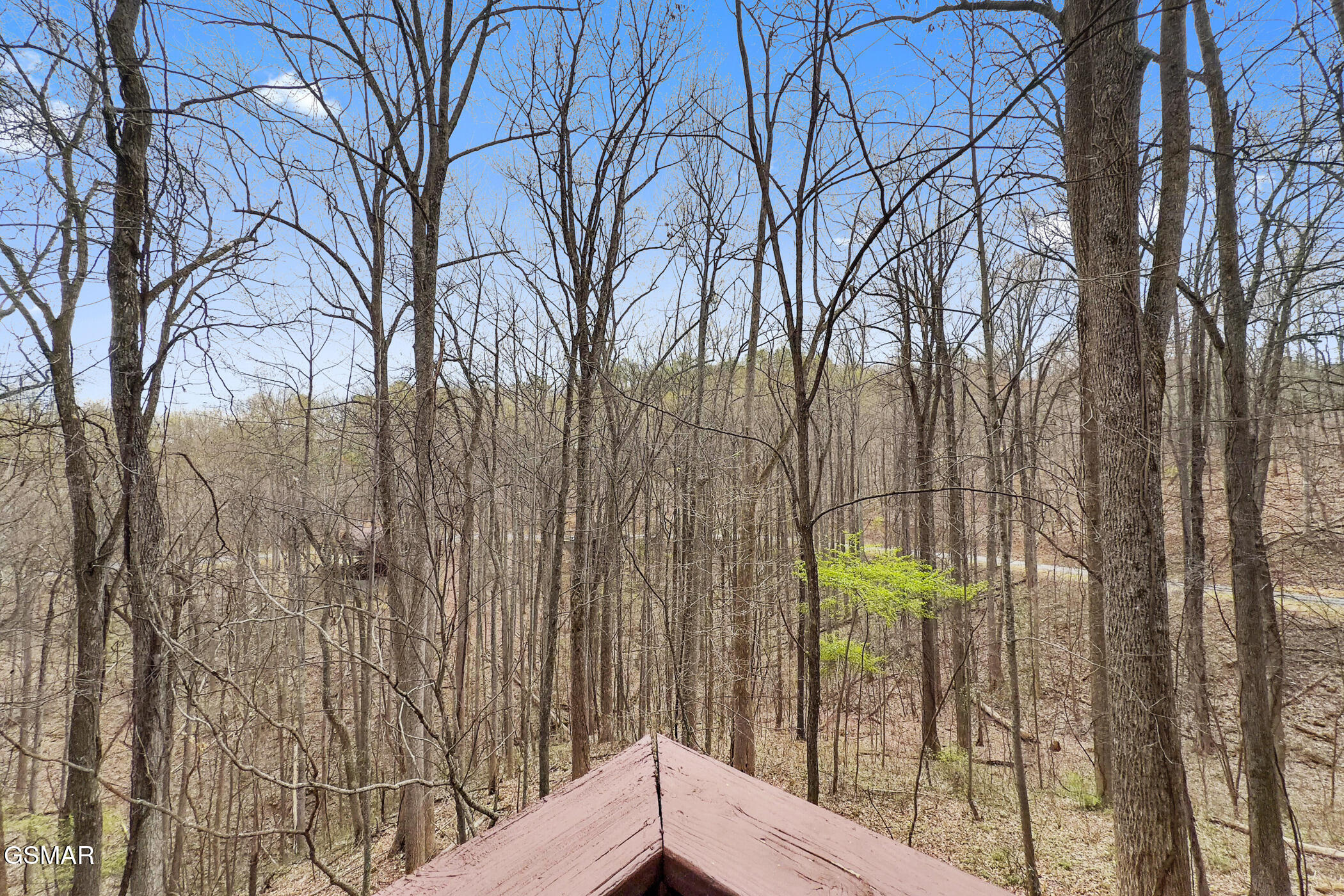 3175 Emerald Springs Loop Sevierville TN 37862