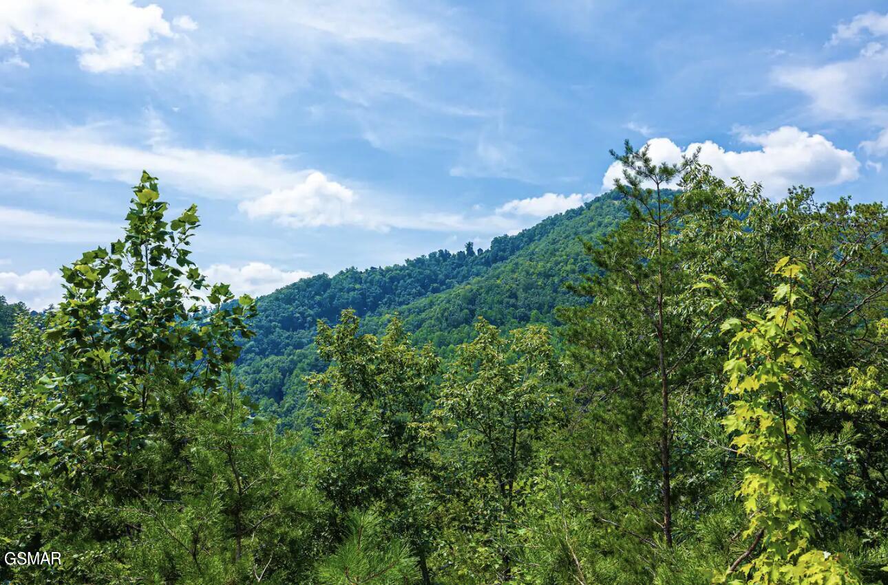3152 Hatcher Top Road Sevierville TN 37862
