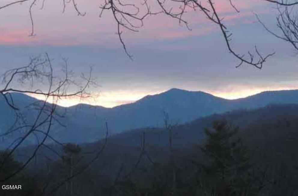 1781 Mountain Shadows Way Gatlinburg TN 37738