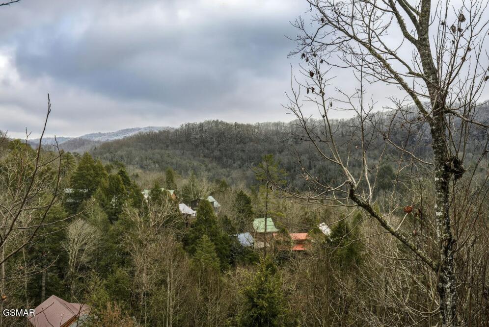1781 Mountain Shadows Way Gatlinburg TN 37738