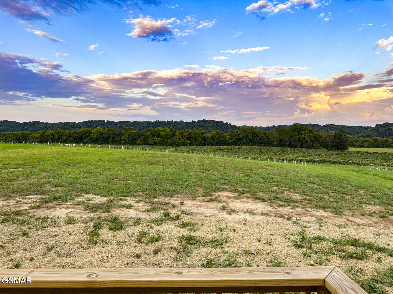 1555 River Path Morristown TN 37813