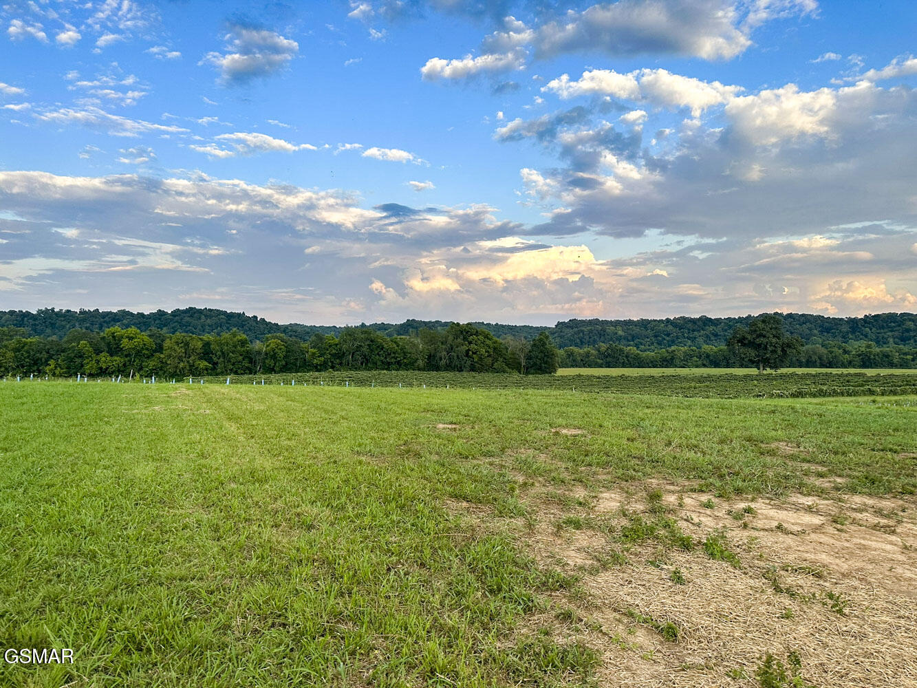 1555 River Path Morristown TN 37813